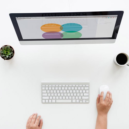 values-blog-plum-tree